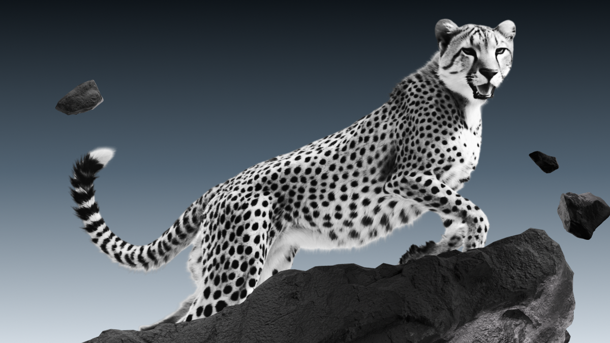 Scalping Trading: What It Is, How It Works, and Strategies